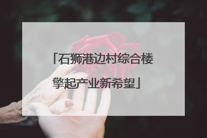 石狮港边村综合楼擎起产业新希望